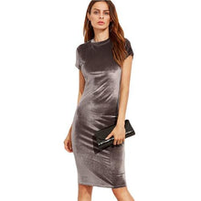 Load image into Gallery viewer, Velvet Dress - testingappstuff
